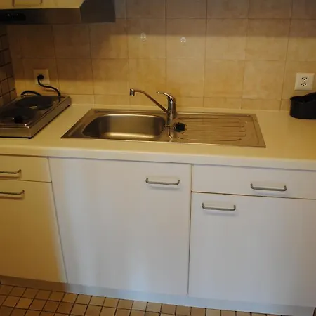 Apartment Studio Glaus Wilderswil