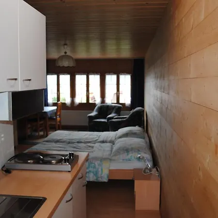 Apartment Studio Glaus